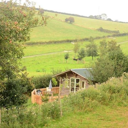 Woolcombe Cabin East Allington Екстер'єр фото