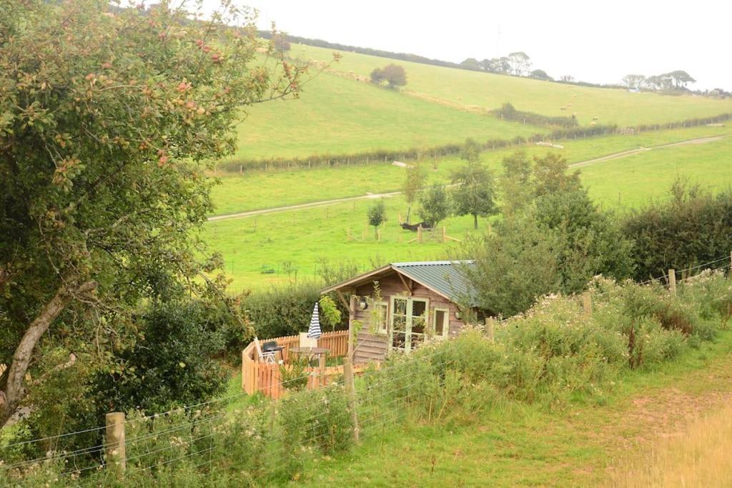 Woolcombe Cabin East Allington Екстер'єр фото