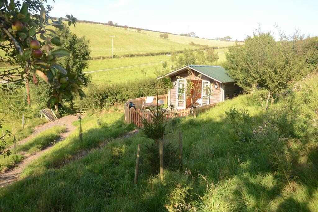 Woolcombe Cabin East Allington Екстер'єр фото